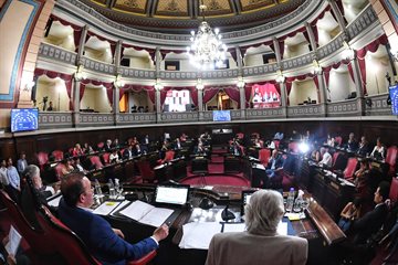 El Senado bonaerense aprobó modificaciones a la Ley de Adopción