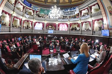 El Senado bonaerense conmemoró el Día Nacional por la Memoria, la Verdad y la Justicia