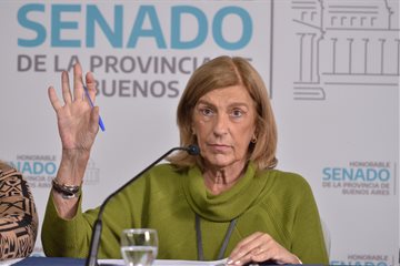Encuentro de la Comisión de Derechos Humanos y Garantías del Senado Bonaerense