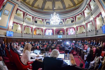 El Senado aprobó la adhesión de la Provincia a la Ley Lucio
