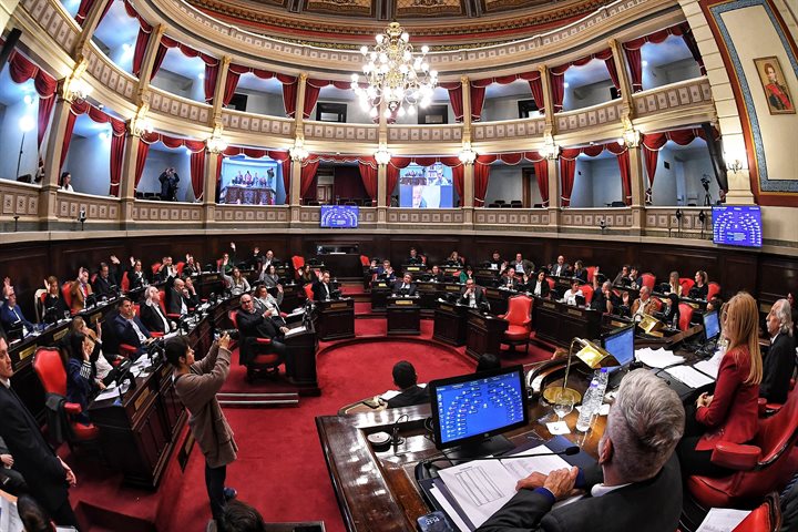 El Senado habilitó la reelección indefinida de legisladores, concejales y consejeros escolares