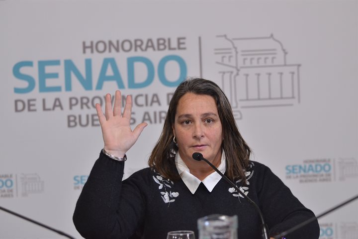 Sesionó la Comisión de Igualdad Real de Trato y Oportunidades y Discapacidad