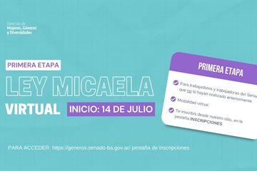 Continúa la capacitación Ley Micaela para trabajadores y trabajadoras del Senado bonaerense