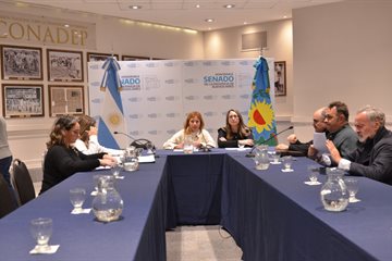 La Comisión de Asuntos Municipales debatió licencias médicas para concejales